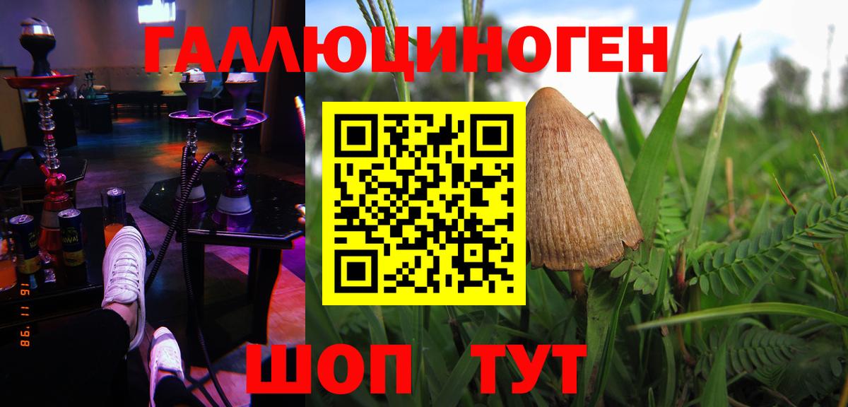 Псилоцибиновые грибы мицелий Славгород