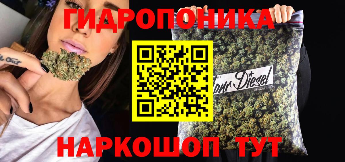 Марихуана планчик  Каннабис планчик  Каннабис VHQ  Вход с VPN  Славгород  Канабис семена 